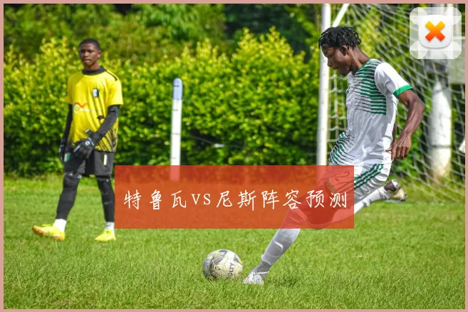 特鲁瓦vs尼斯阵容预测